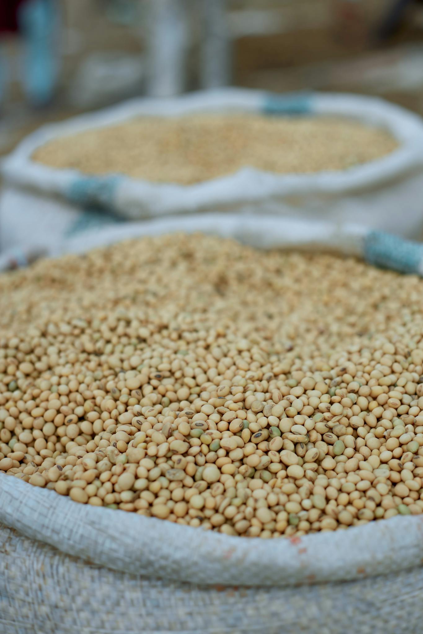 Close Up Image Of Sacks Filled With Soybeans